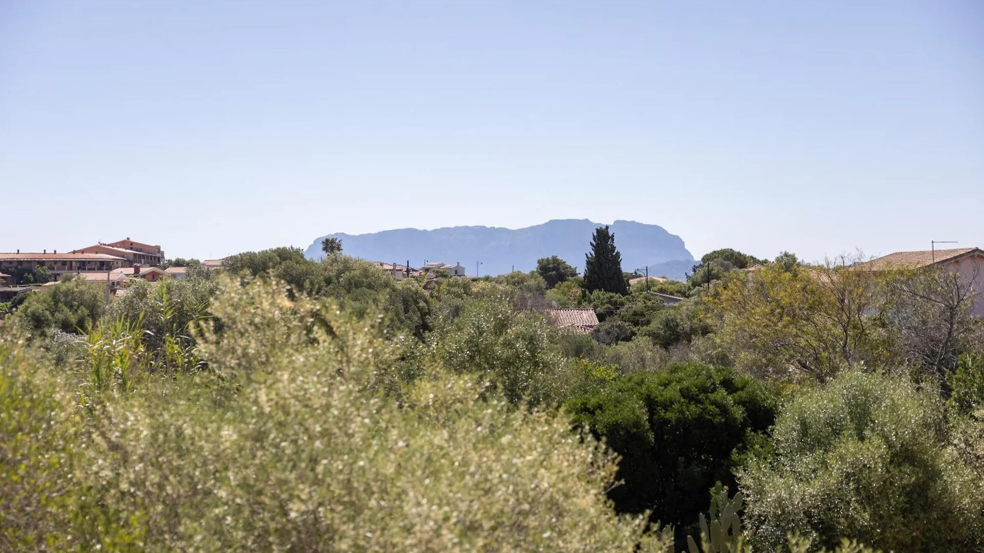 Pensionat Charming Room With Two Beds -2 Minutes To The Beach- Olbia Italien